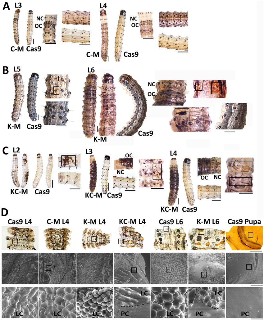 Figure 2-850.jpg