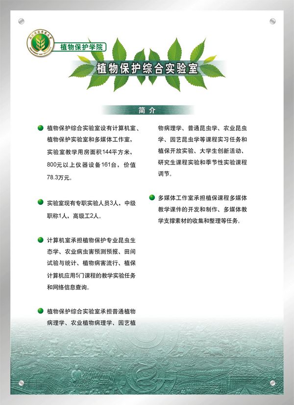 bet365娱乐城